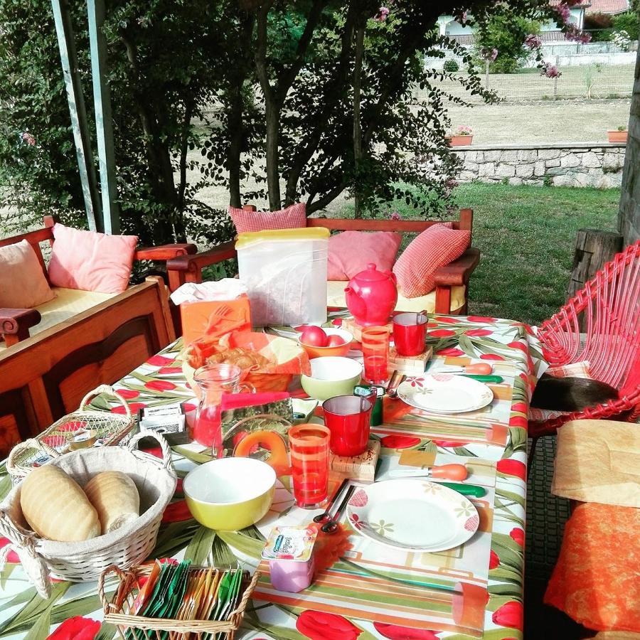 بافينو B&B Il Tempo Del Sogno Con Cani E Gatti Pet&Breakfast المظهر الخارجي الصورة
