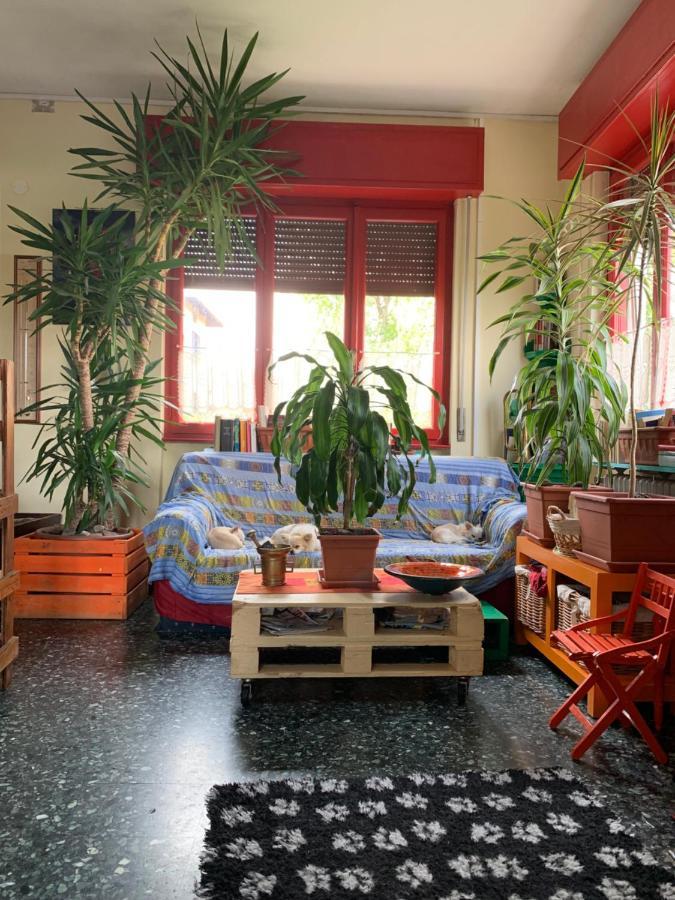 بافينو B&B Il Tempo Del Sogno Con Cani E Gatti Pet&Breakfast المظهر الخارجي الصورة